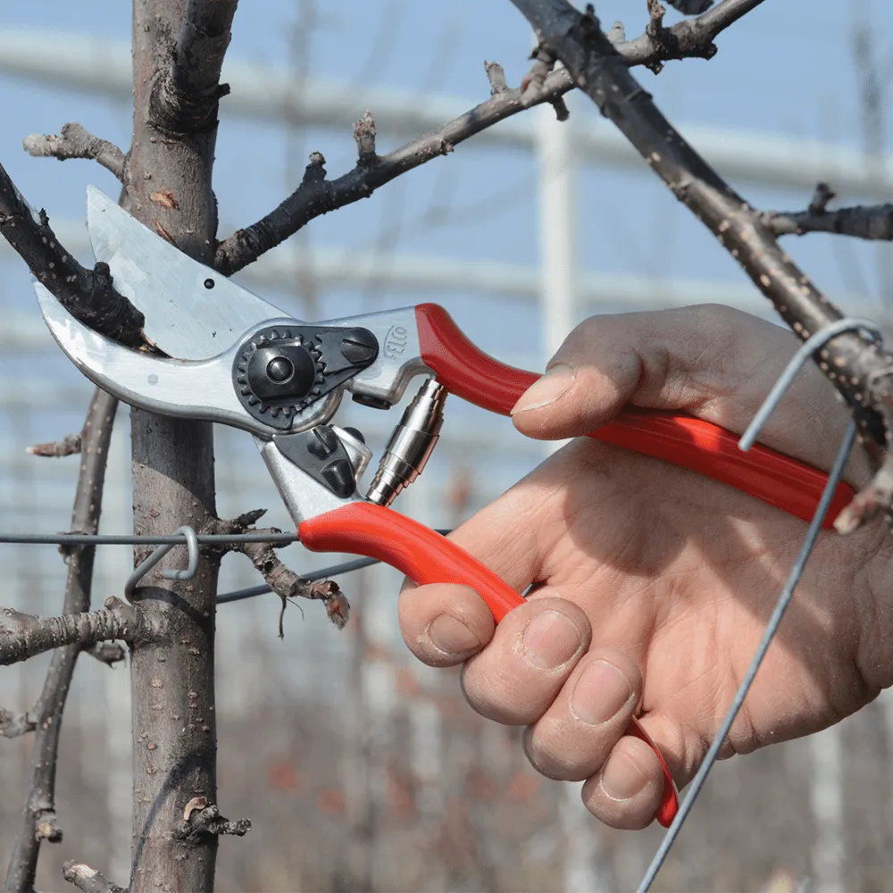 Felco 2 Pruner