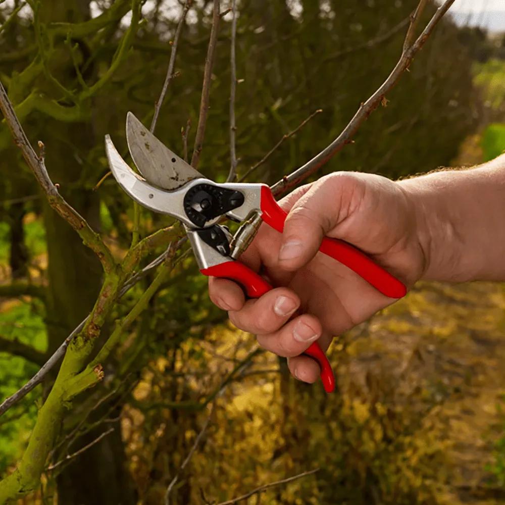 Felco 2 Pruner