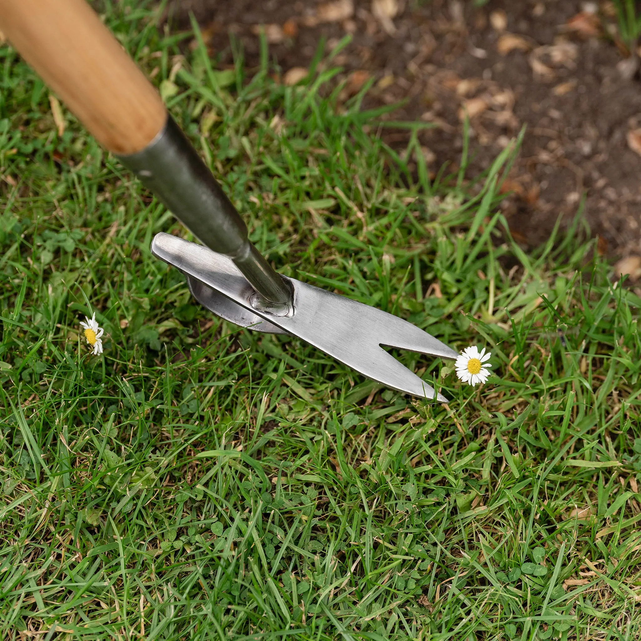 Kent & Stowe Stainless Steel Long Handled Daisy Weeder